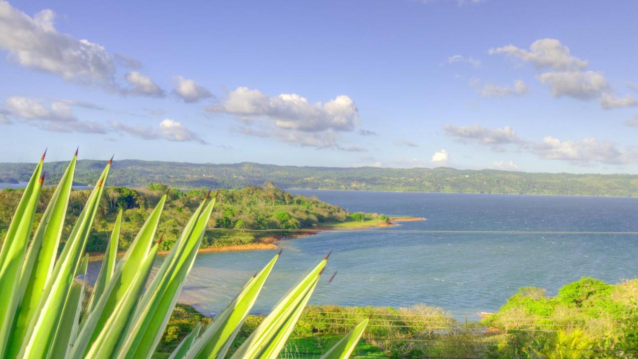 Tronadora Monte Terras Bed & Breakfast エクステリア 写真
